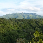 P1020308